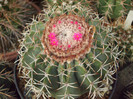 DSCF1692
