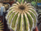 DSCF1693