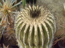 DSCF1695