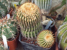 DSCF1696