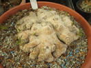 DSCF1700