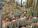 DSCF1702