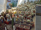 DSCF1703