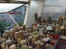 DSCF1706
