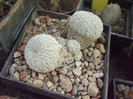 DSCF1708