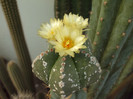 DSCF1709