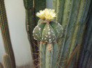 DSCF1710