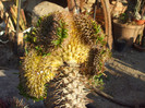DSCF1721
