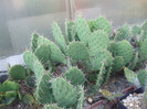 DSCF1728