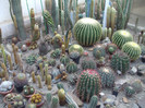 DSCF1746