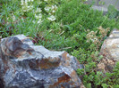 DSCF1764