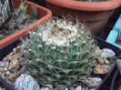 DSCF1766