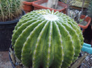 DSCF1769