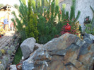 DSCF1770