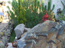 DSCF1771