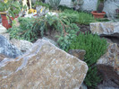 DSCF1772