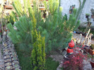 DSCF1773