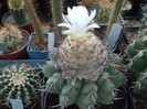 DSCF1777