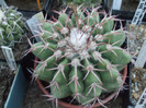 DSCF1780