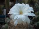 DSCF1822