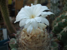 DSCF1823