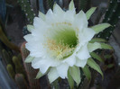 DSCF1827