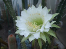 DSCF1828