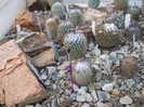 DSCF1829