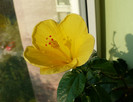 P1400417
