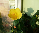 P1400418