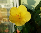 P1400419