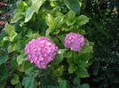 IMGP3297