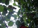 IMGP3320