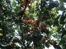 IMGP3351
