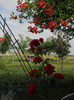 DSCN5551