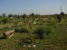 DSCN5560