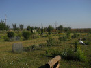 DSCN5562