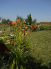 DSCN5563