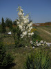 DSCN5564