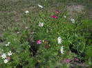 DSCN5573