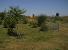DSCN5579