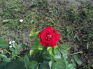 DSCN5586