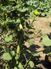 DSC00881