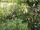 DSC00910