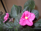 DSCN3028