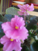 DSCN3031