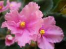 DSCN3032