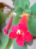 DSCN3041