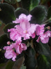 DSCN3043