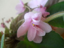 DSCN3044